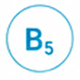 09_B5